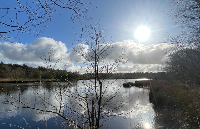 Guest house 268205 - Holiday property Het Friese platteland - Huisje in Zandhuizen