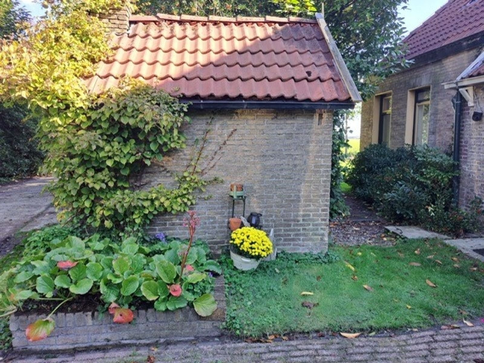 Verblijf 268410 - Vakantiewoning Het Friese platteland - FR633