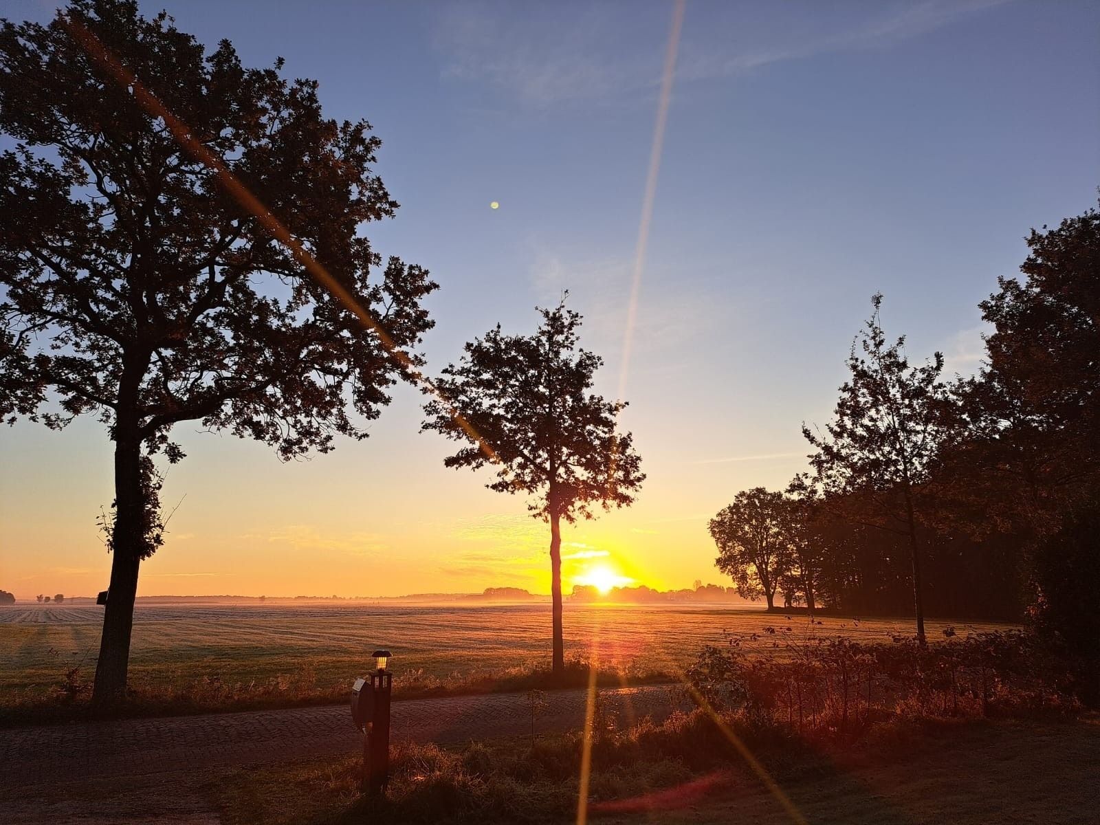 Verblijf 268410 - Vakantiewoning Het Friese platteland - FR633
