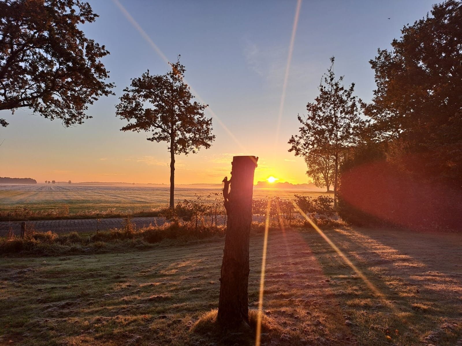 Verblijf 268410 - Vakantiewoning Het Friese platteland - FR633