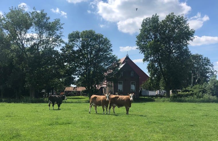 Unterkunft 269205 - Ferienhaus Het Friese platteland - Vakantiehuisje in Stiens