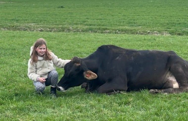 Unterkunft 269205 - Ferienhaus Het Friese platteland - Vakantiehuisje in Stiens