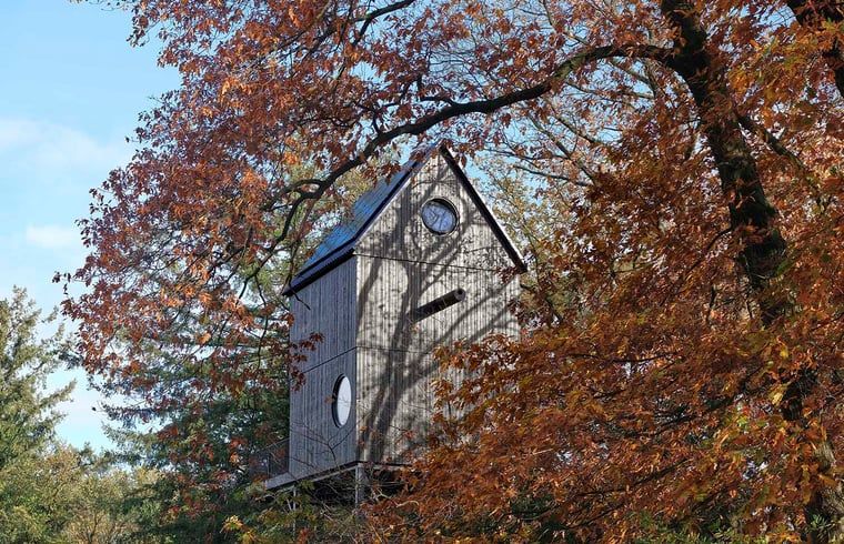 Ferienhaus in Arnheim, umgeben von Herbstlaub im Rivierengebied, Gelderland.
