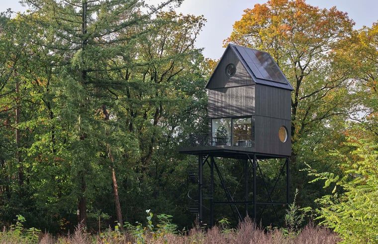 Modernes Ferienhaus in Arnheim mit Blick auf das bewaldete Rivierengebied, Gelderland.
