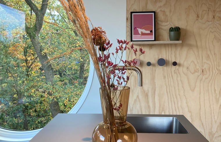 Detail der Kueche eines Ferienhauses in Arnheim mit Blumen und Herbstblick.