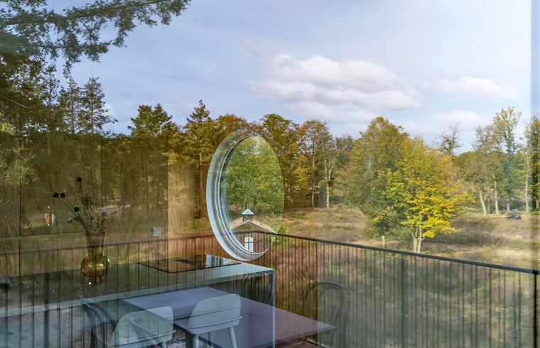 Blick aus der Kueche des Ferienhauses in Arnheim am bewaldeten Rivierengebied.