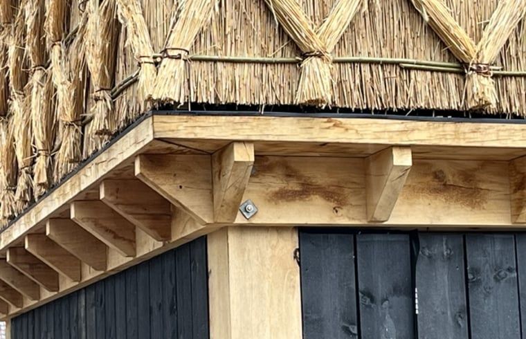 Detail des Reetdachs in einem Ferienhaus in Arnheim, Gelderland.