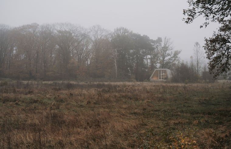 Unterkunft 2809122 - Ferienhaus Rivierengebied - Vakantiehuisje in Arnhem