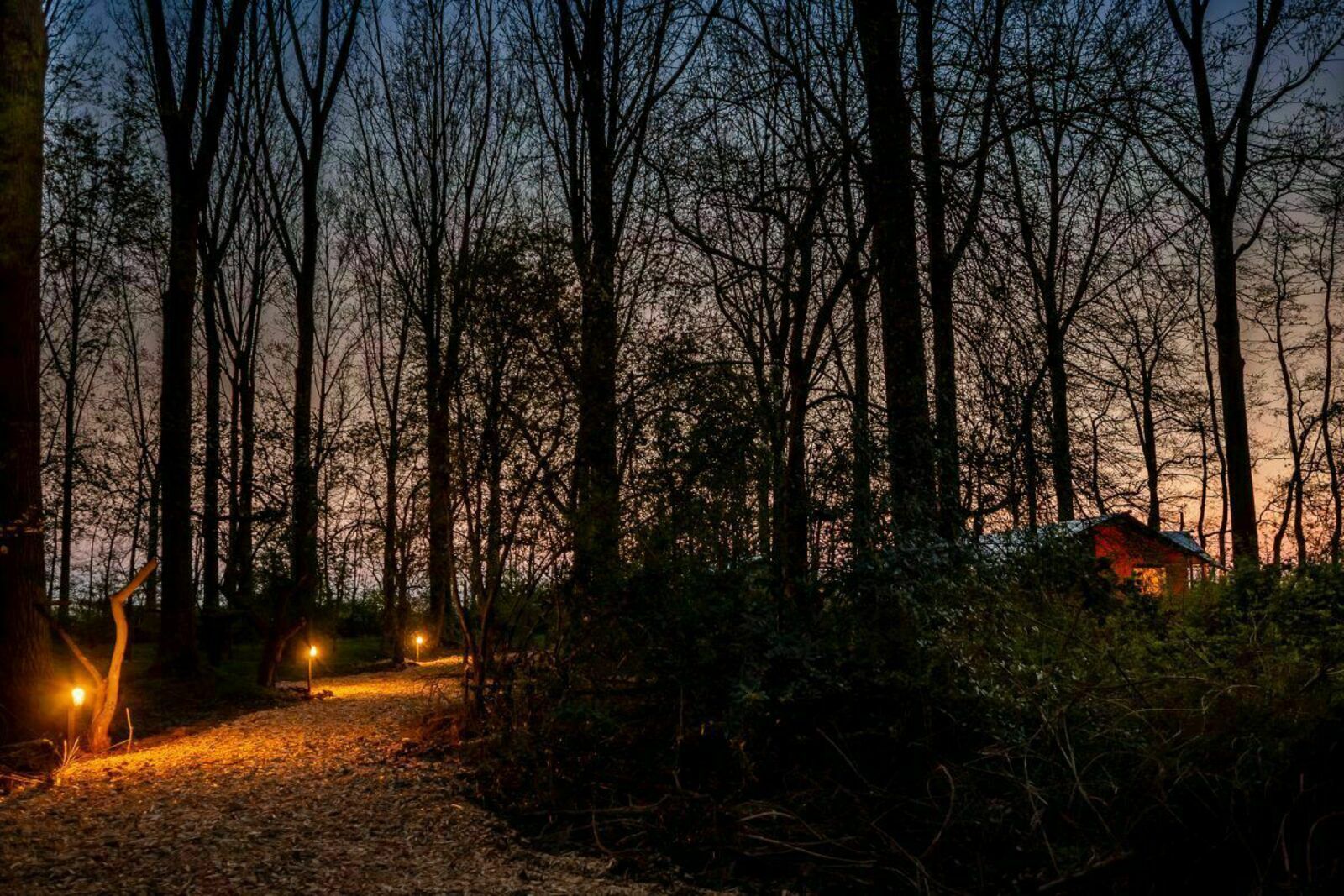 Unterkunft 282710 - Zelthaus Rivierengebied - GLAMPHUYS