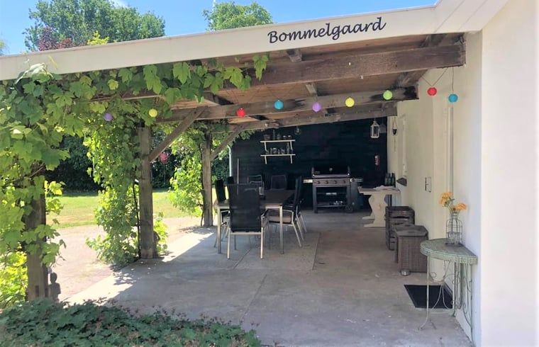 Guest house 282802 - Holiday property Rivierengebied - Vakantiehuisje in Hurwenen