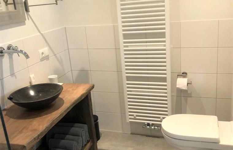 Guest house 282802 - Holiday property Rivierengebied - Vakantiehuisje in Hurwenen