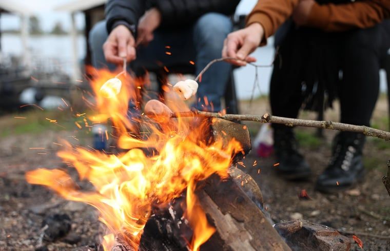 Verblijf 283105 - Vakantiewoning Rivierengebied - Vakantiehuis in Heerewaarden, De Bommelerwaard (*Bekijk ook