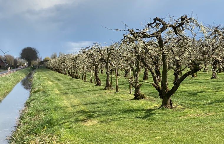 Unterkunft 284503 - Ferienhaus Rivierengebied - Vakantiehuisje in Ommeren