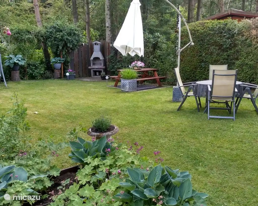 Verblijf 286013 - Chalet Rivierengebied - Wolfheze Chalet Wyandotte I bosrand