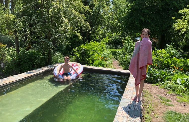 Guest house 286412 - Holiday property Rivierengebied - Vakantiehuis in Dreumel