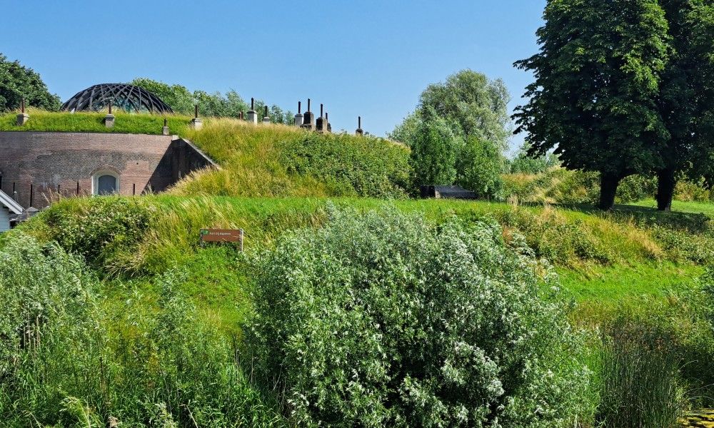 Guest house 287003 - Holiday property Rivierengebied - Betuwsend