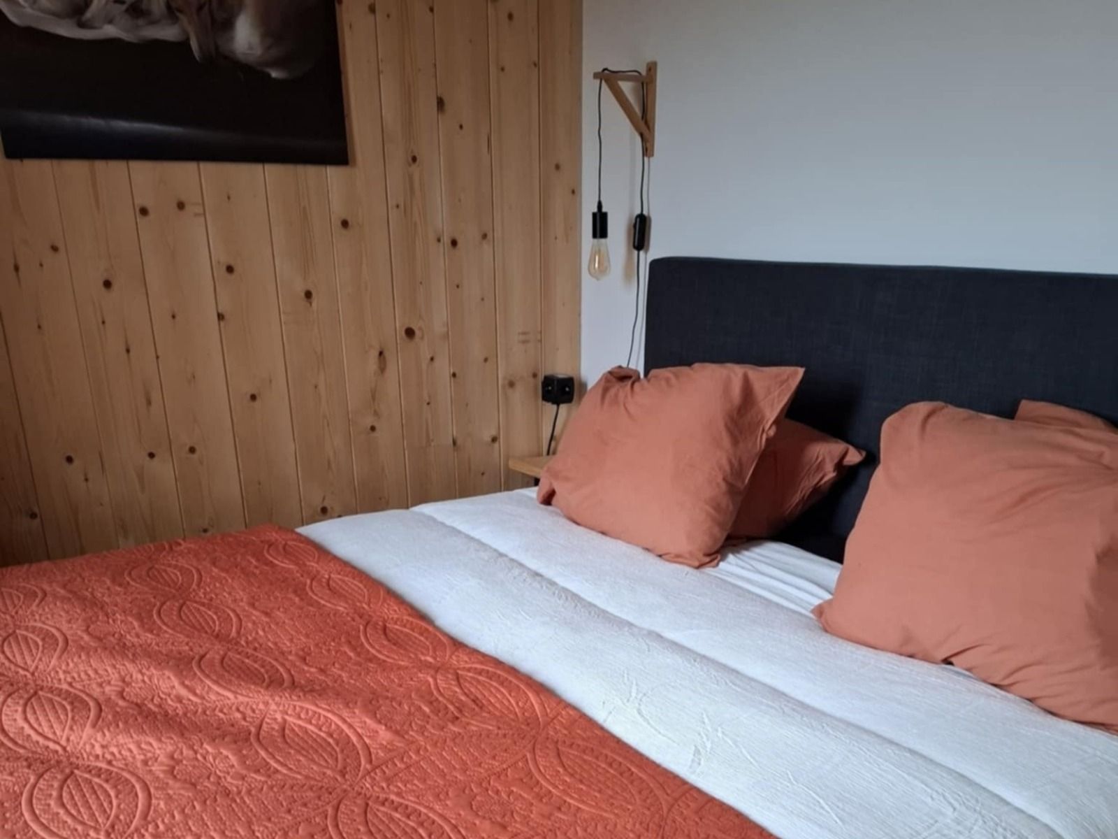 Unterkunft 287116 - Ferienhaus Rivierengebied - DG1711