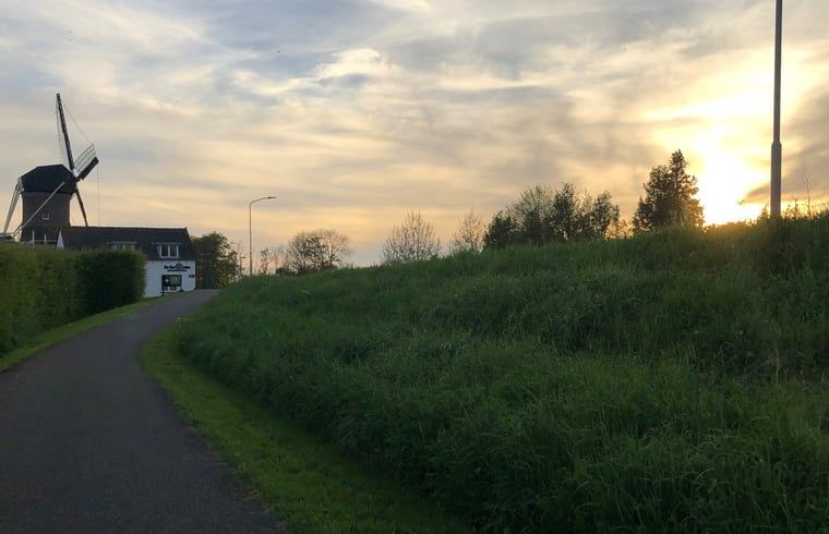 Bild 15