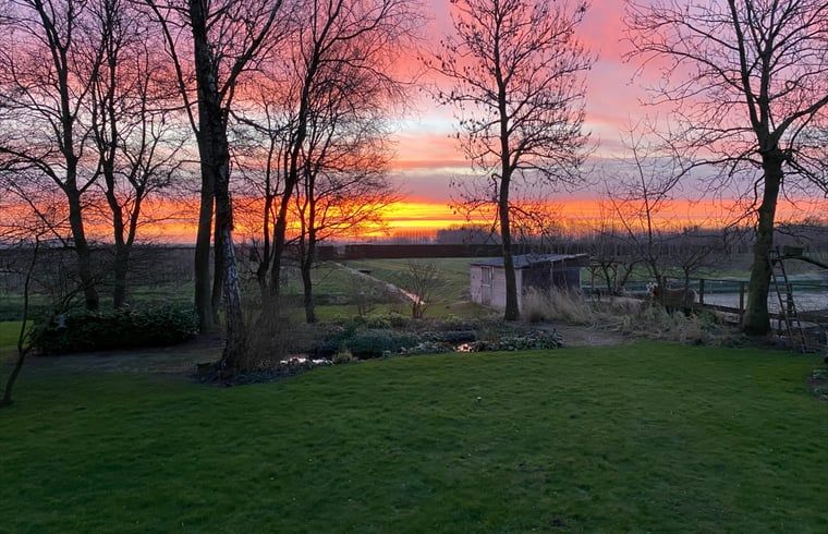 Guest house 287501 - Holiday property Rivierengebied - Huisje in Dodewaard