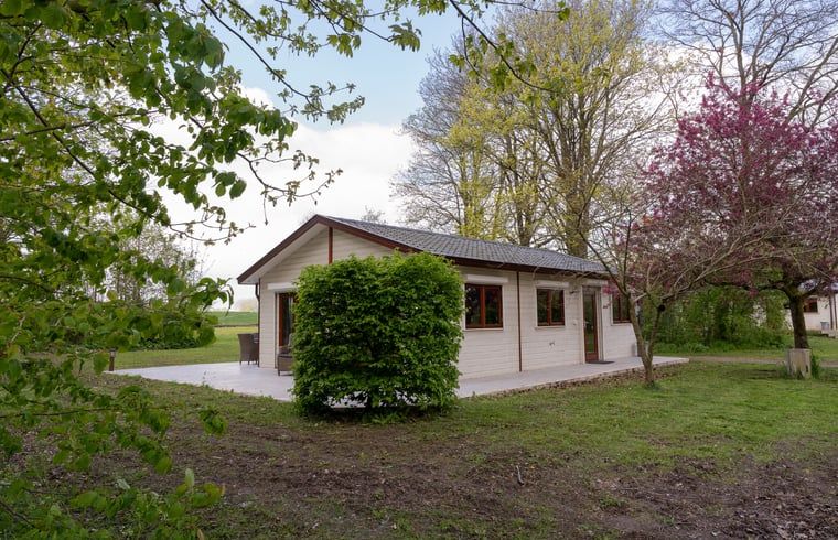 Unterkunft 287901 - Ferienhaus Rivierengebied - Huisje in Heesselt