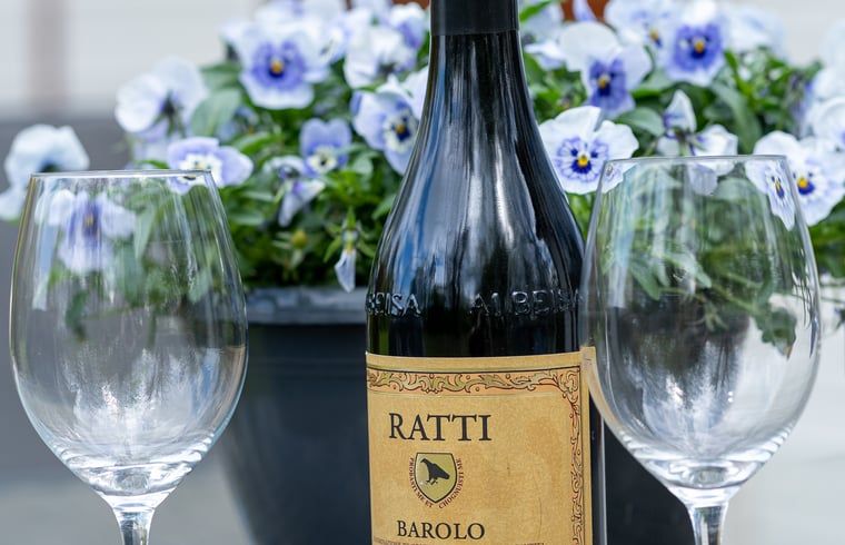 Unterkunft 287901 - Ferienhaus Rivierengebied - Huisje in Heesselt