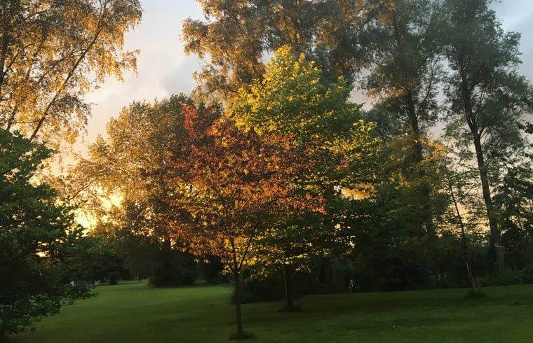 Unterkunft 287901 - Ferienhaus Rivierengebied - Huisje in Heesselt