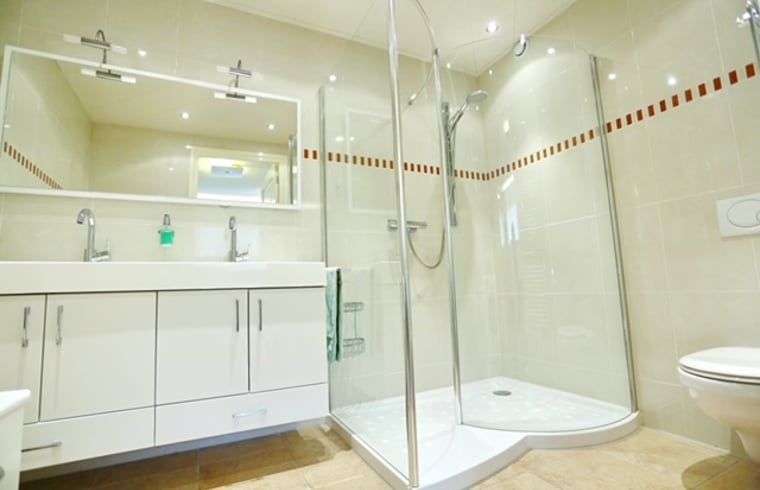Luxe badkamer in Vakantiehuis in Angerlo, Gelderland met moderne douche en ruime wastafel.
