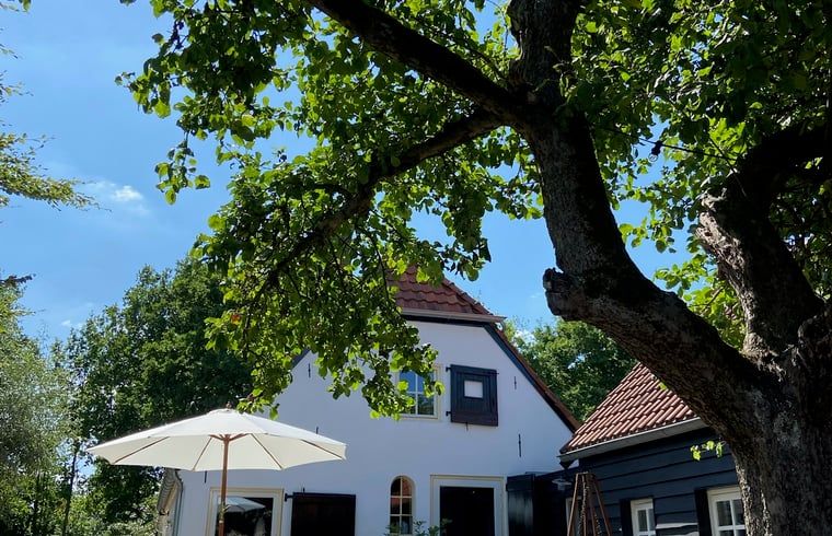 Unterkunft 289401 - Ferienhaus Rivierengebied - Vakantiehuisje in Neerijnen