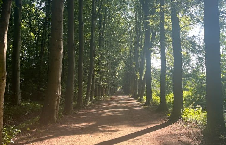 Unterkunft 289401 - Ferienhaus Rivierengebied - Vakantiehuisje in Neerijnen