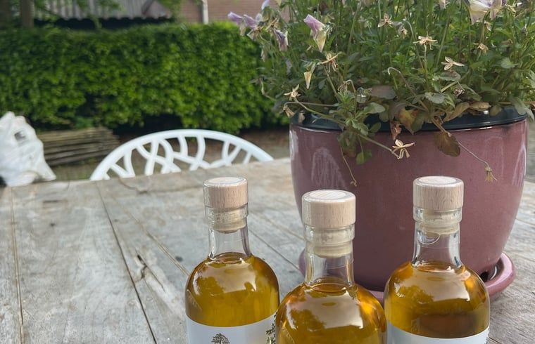 Unterkunft 289401 - Ferienhaus Rivierengebied - Vakantiehuisje in Neerijnen