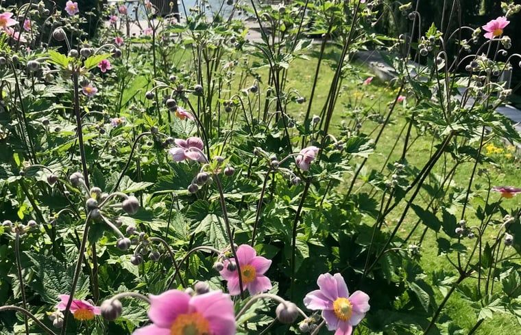 Verblijf 289701 - Vakantiewoning Rivierengebied - Huisje in Gellicum