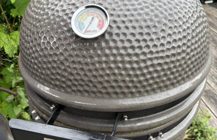 Verblijf 289701 - Vakantiewoning Rivierengebied - Huisje in Gellicum