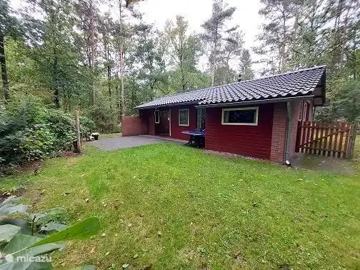Guest house 2901106 - Bungalow Achterhoek - Bospad-Winterswijk