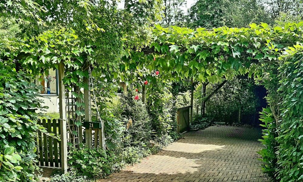 Verblijf 2901144 - Vakantiewoning Achterhoek - Boshuisje "de Wielewaal"