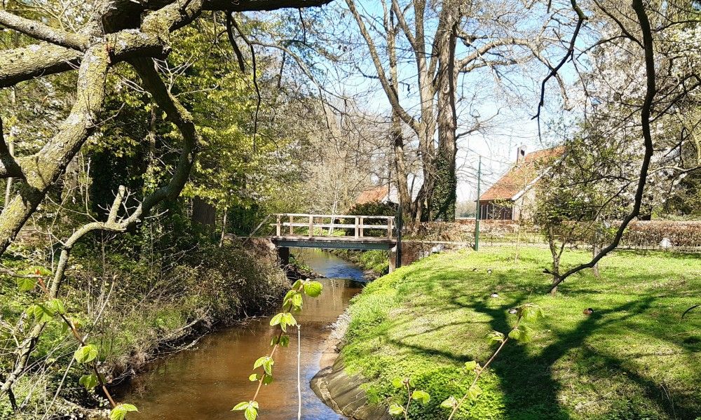 Verblijf 2901144 - Vakantiewoning Achterhoek - Boshuisje "de Wielewaal"