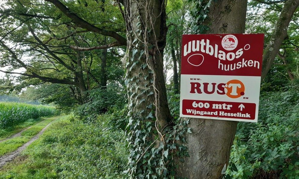 Verblijf 2901144 - Vakantiewoning Achterhoek - Boshuisje "de Wielewaal"