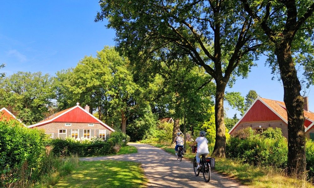 Verblijf 2901144 - Vakantiewoning Achterhoek - Boshuisje "de Wielewaal"