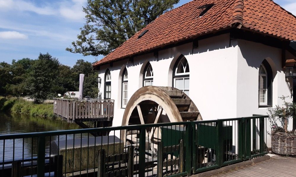 Verblijf 2901144 - Vakantiewoning Achterhoek - Boshuisje "de Wielewaal"