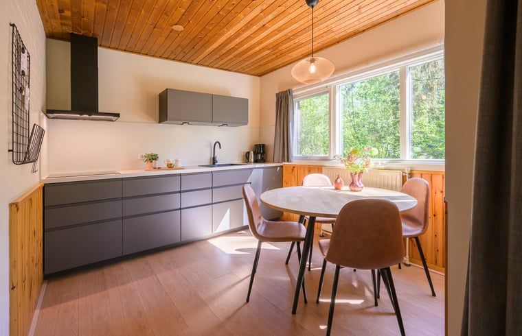 Moderne keuken in Vakantiehuisje in Winterswijk, met uitzicht op de Achterhoekse natuur.