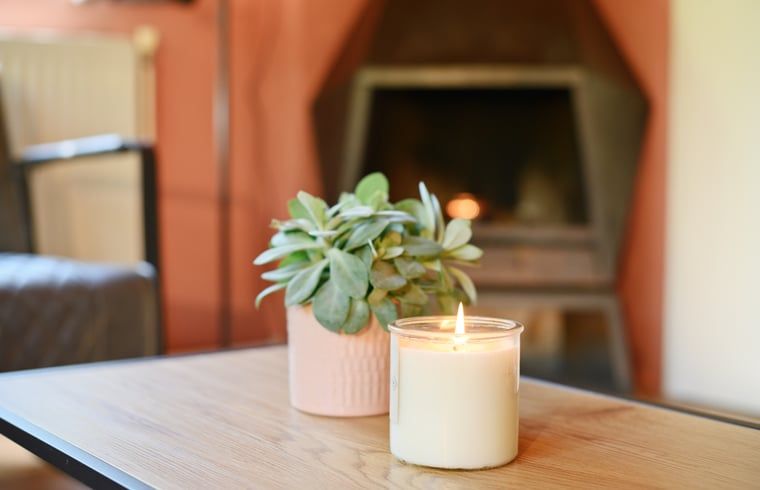 Sfeervolle kaars en plant in Vakantiehuisje in Winterswijk, Achterhoek, Gelderland.