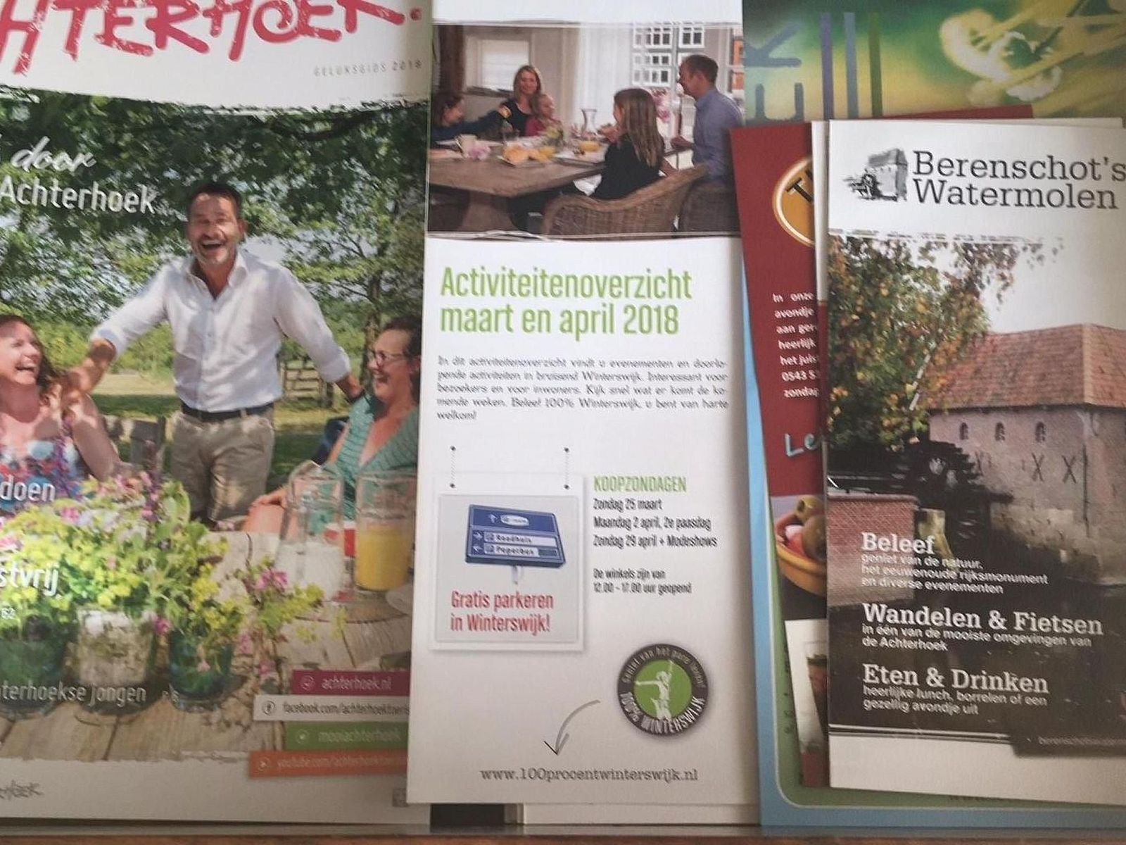 Unterkunft 290140 - Ferienhaus Achterhoek - Vakantiehuis Geräumiges Ferienhaus mitten im Wald