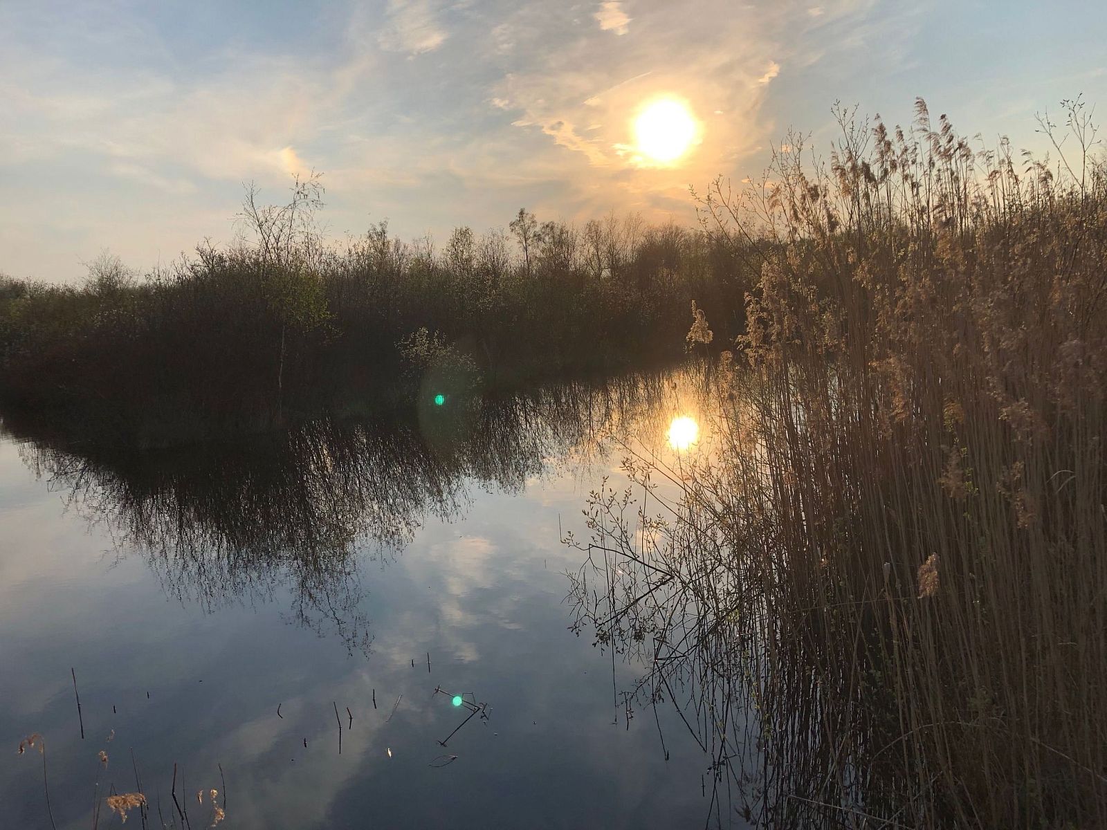 Unterkunft 290140 - Ferienhaus Achterhoek - Vakantiehuis Geräumiges Ferienhaus mitten im Wald