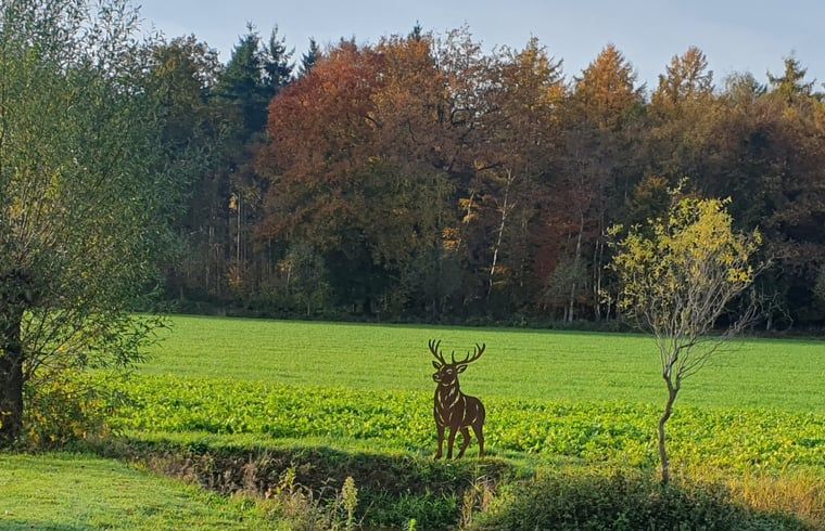 Guest house 290215 - Holiday property Achterhoek - Vakantiehuisje in Barchem