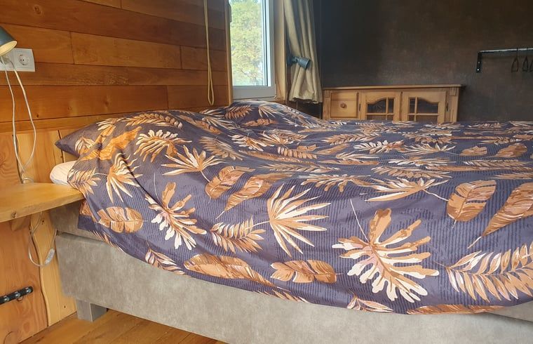 Guest house 290215 - Holiday property Achterhoek - Vakantiehuisje in Barchem