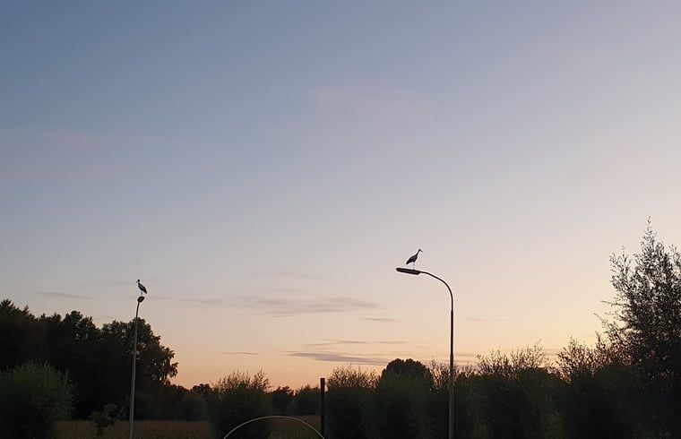 Guest house 290215 - Holiday property Achterhoek - Vakantiehuisje in Barchem