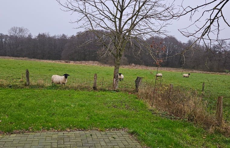 Bild 16