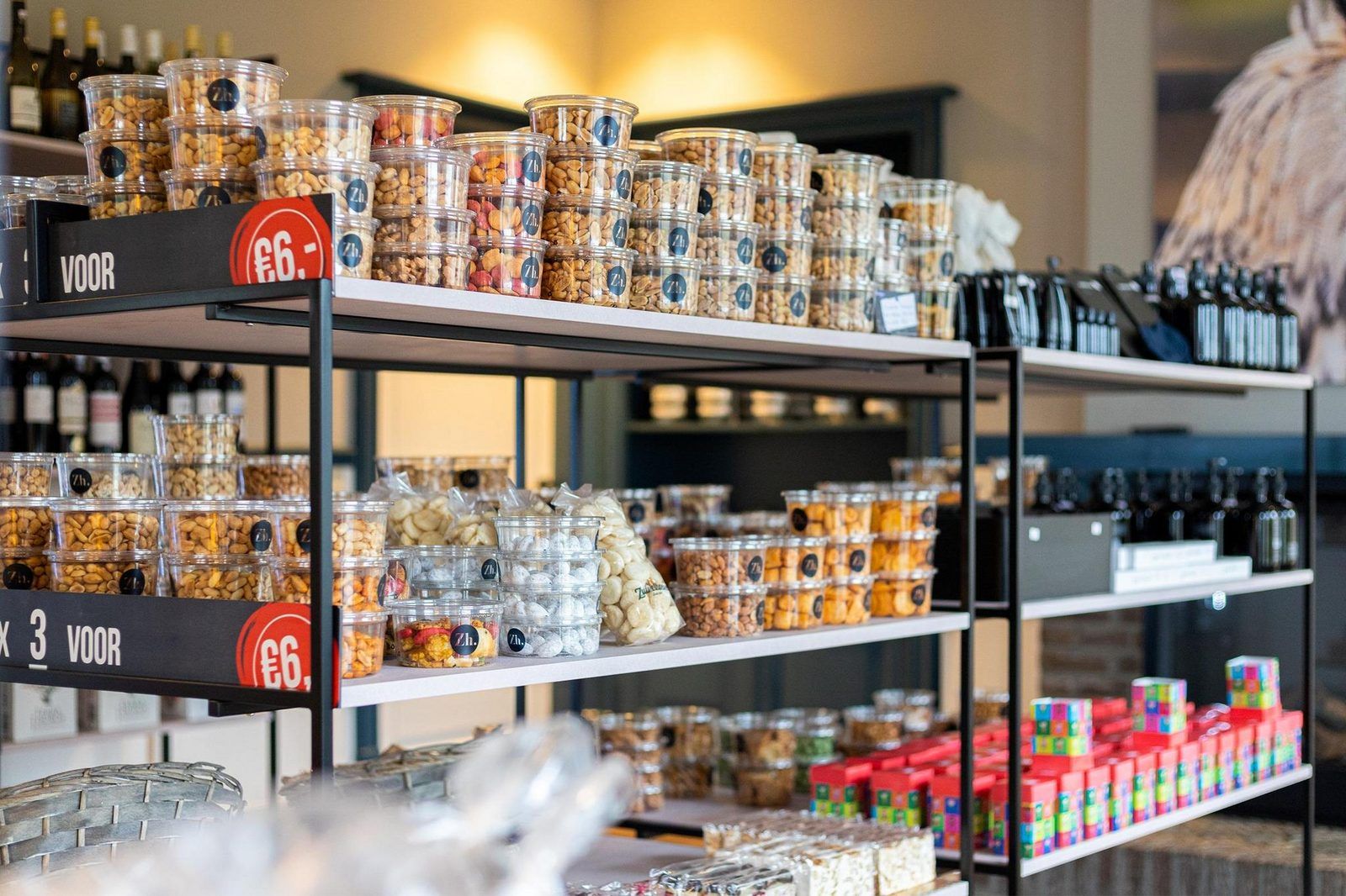 Surroundings of Vacation Villa Amalia 2 in Kotten, Achterhoek with sunlight through the trees.
