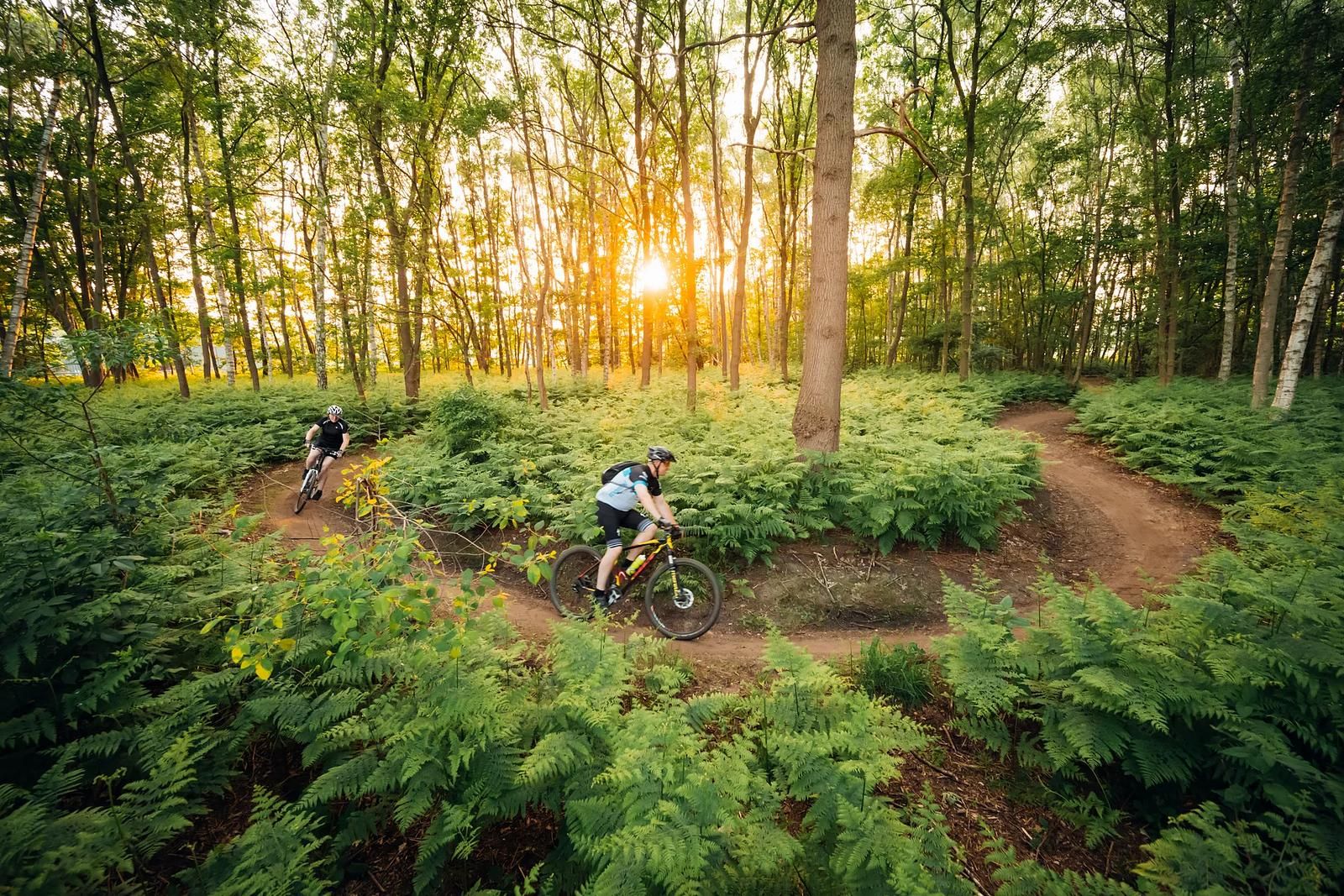 Guest house 290409 - Holiday property Achterhoek - Hofvilla Amalia met sauna | 4 pers