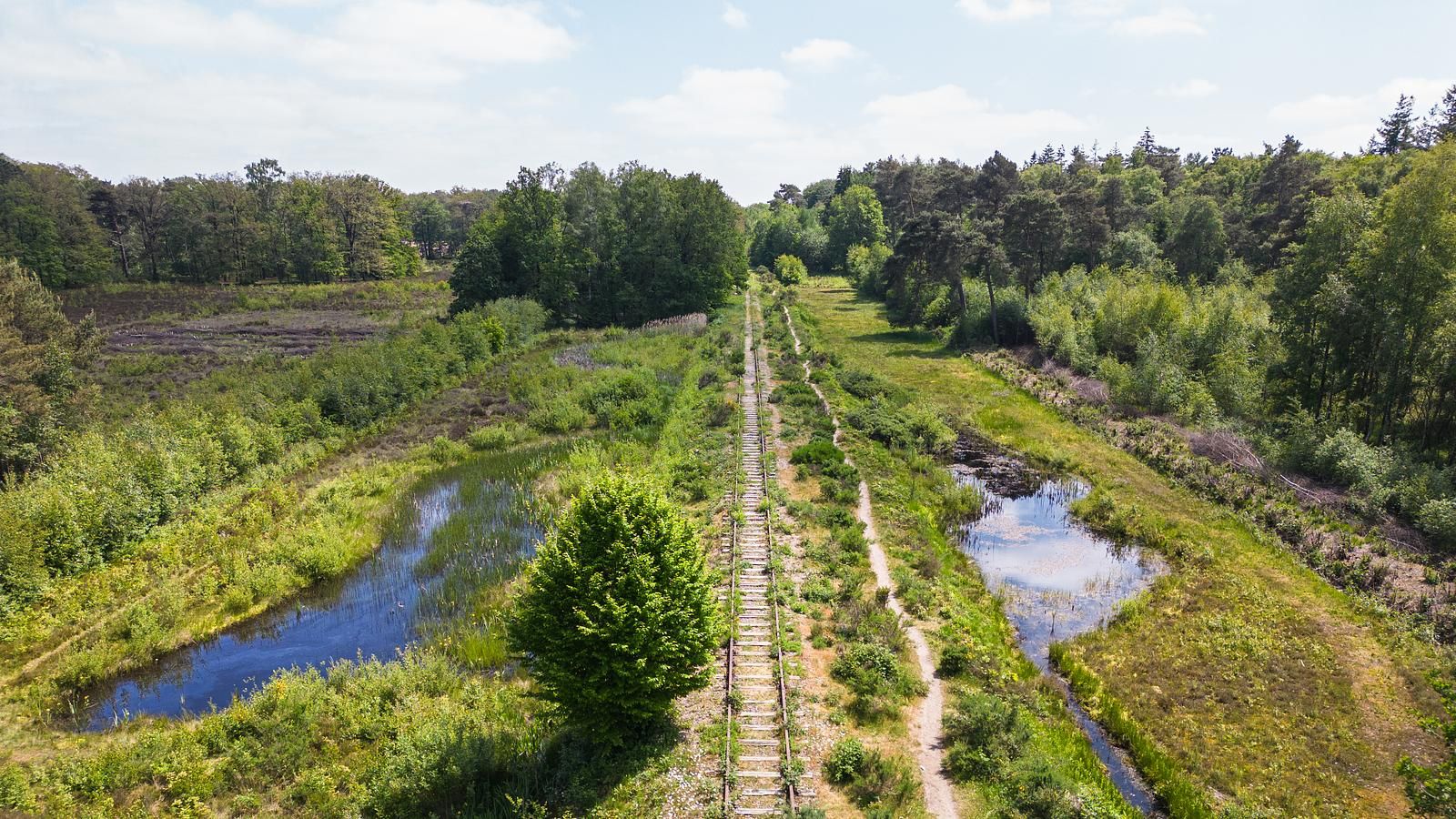 Unterkunft 290420 - Ferienhaus Achterhoek - Boslodge Royal met sauna | 2 pers