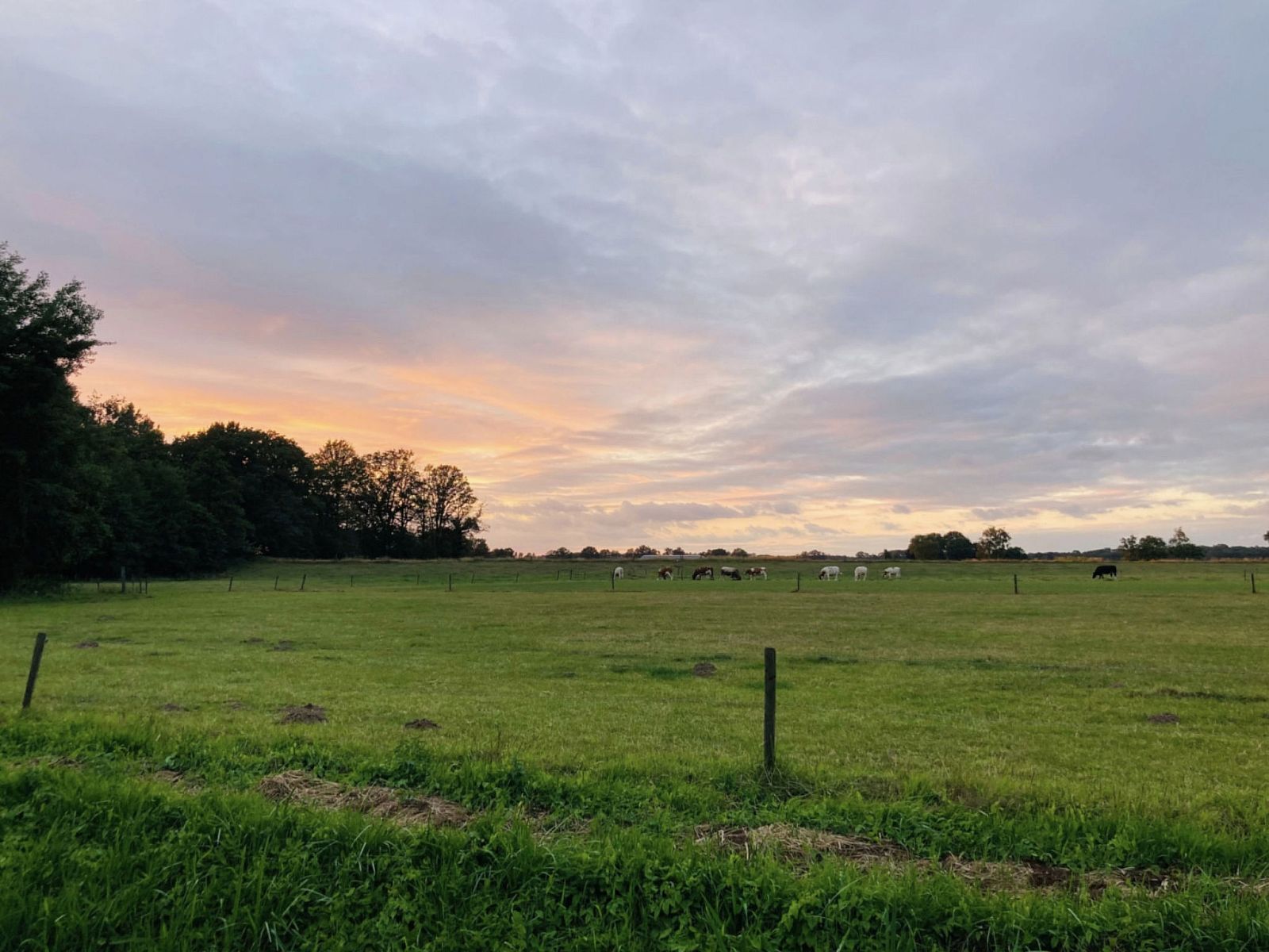 Verblijf 290614 - Vakantiewoning Achterhoek - Vakantiehuis Camping Ont Moeten - Pim z'n tent